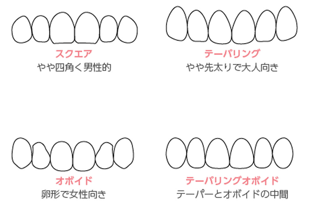 歯の形